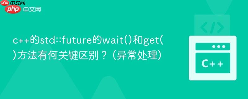 c++的std::future的wait()和get()方法有何关键区别？ (异常处理)  第1张