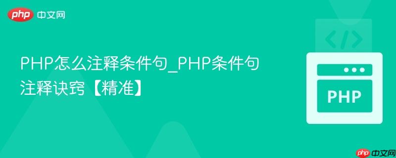 PHP怎么注释条件句_PHP条件句注释诀窍【精准】  第1张