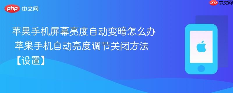 苹果手机屏幕亮度自动变暗怎么办 苹果手机自动亮度调节关闭方法【设置】  第1张