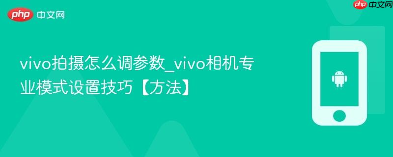 vivo拍摄怎么调参数_vivo相机专业模式设置技巧【方法】  第1张
