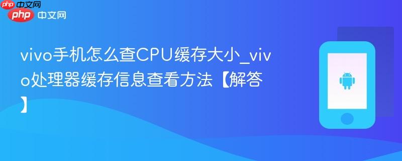 vivo手机怎么查CPU缓存大小_vivo处理器缓存信息查看方法【解答】  第1张