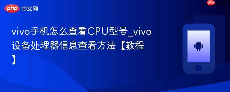 vivo手机怎么查看CPU型号_vivo设备处理器信息查看方法【教程】  第1张