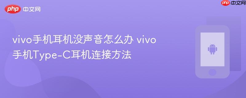 vivo手机耳机没声音怎么办 vivo手机Type-C耳机连接方法  第1张