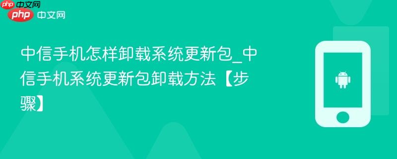 中信手机怎样卸载系统更新包_中信手机系统更新包卸载方法【步骤】  第1张