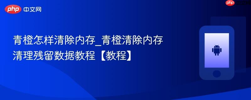 青橙怎样清除内存_青橙清除内存清理残留数据教程【教程】  第1张