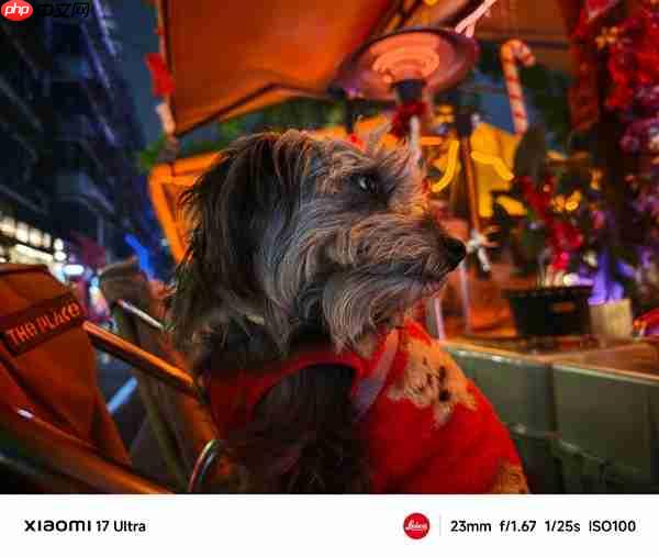 小米17 Ultra首发光影猎人1050L一英寸主摄：夜景实拍样张公布  第6张