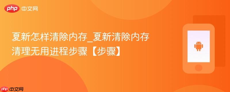 夏新怎样清除内存_夏新清除内存清理无用进程步骤【步骤】  第1张