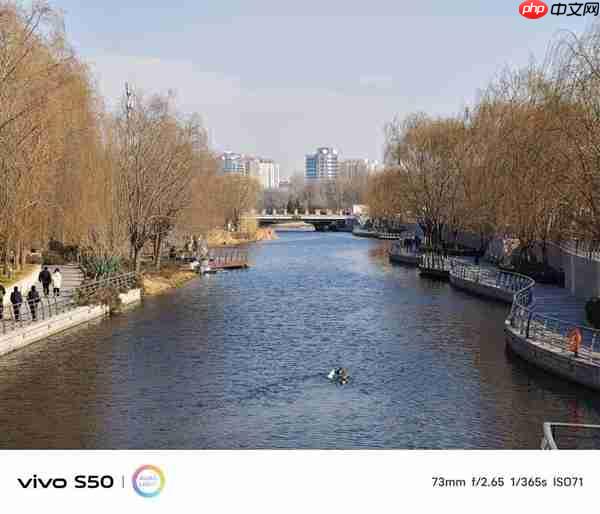 谁说标准版就得妥协 vivo S50全面上手体验  第6张