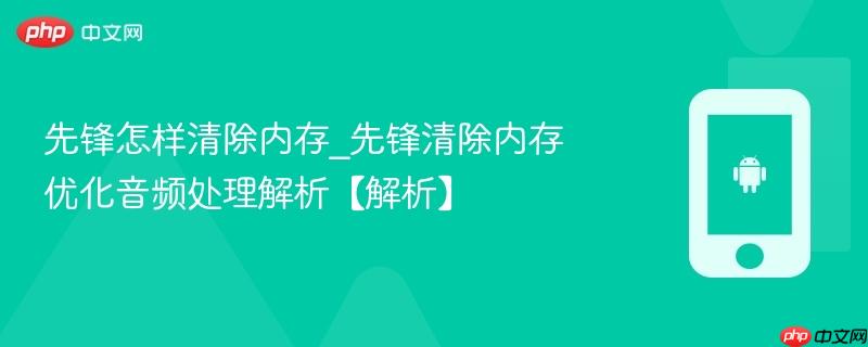 先锋怎样清除内存_先锋清除内存优化音频处理解析【解析】  第1张