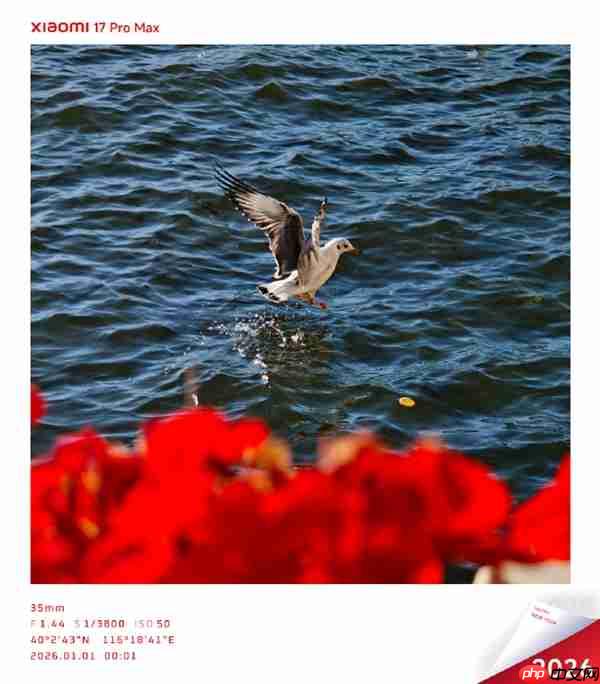 小米澎湃OS 3三款元旦限定水印来了！水墨画风格 清新淡雅  第2张