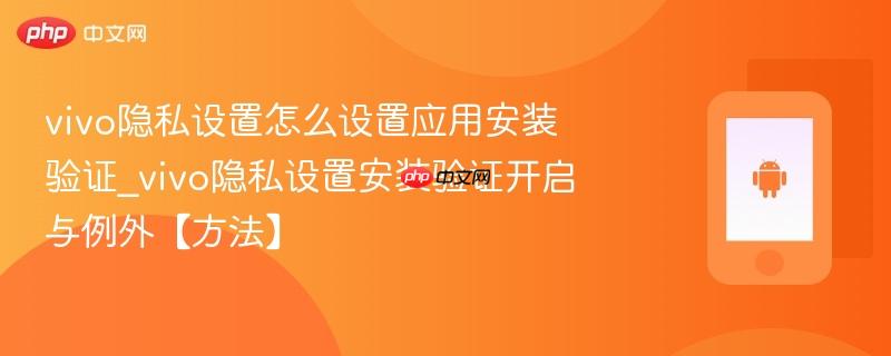 vivo隐私设置怎么设置应用安装验证_vivo隐私设置安装验证开启与例外【方法】  第1张