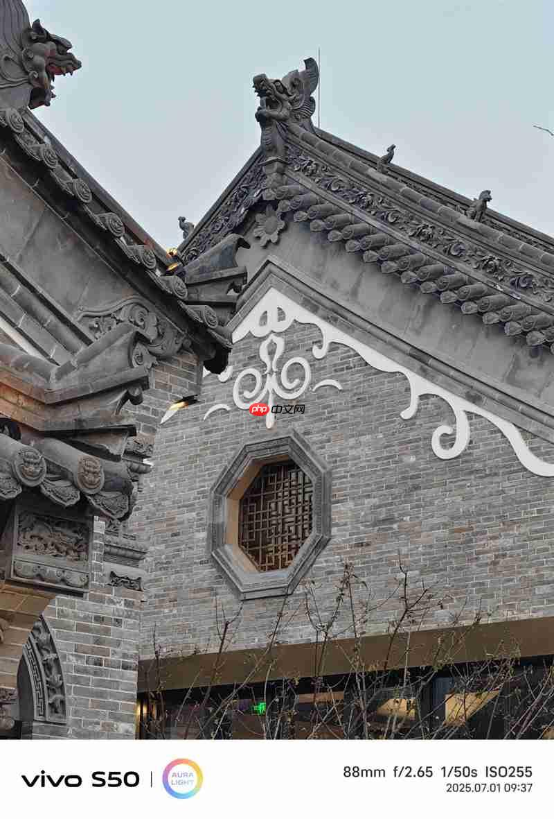 无感握持、出片惊艳！vivo S50首发全面评测：颜值与实力并存的全能旗舰  第23张