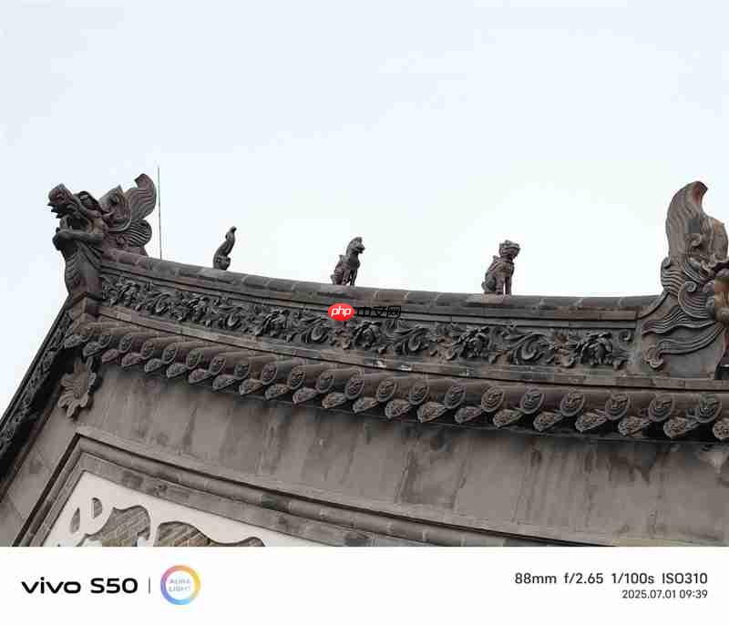 无感握持、出片惊艳！vivo S50首发全面评测：颜值与实力并存的全能旗舰  第24张