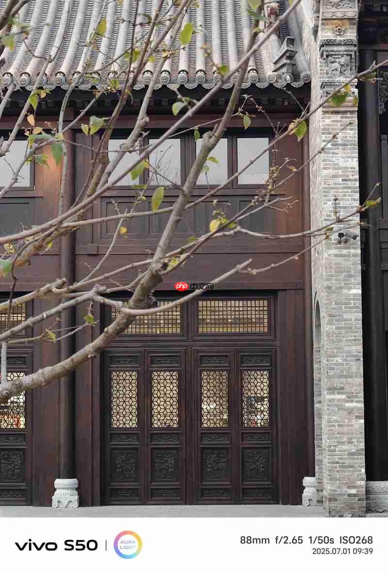 无感握持、出片惊艳！vivo S50首发全面评测：颜值与实力并存的全能旗舰  第25张