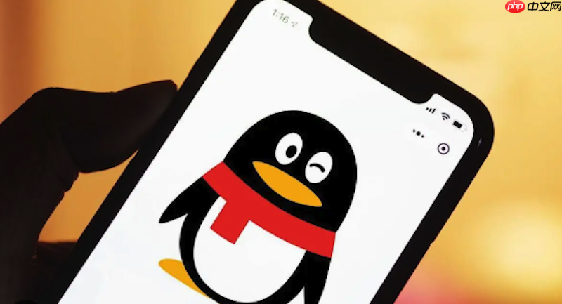 QQ网页版入口指南 QQ网页版网页版在线使用技巧