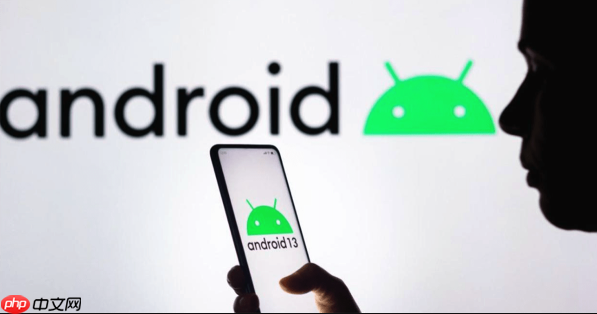 vivo X80 Pro前摄模糊修复_vivo Pro自拍优化  第1张