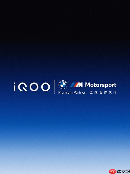 iQOO手机拍照模糊不清晰怎么回事 专业模式参数设置与拍照技巧【指南】