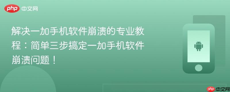 解决一加手机软件崩溃的专业教程：简单三步搞定一加手机软件崩溃问题！  第1张
