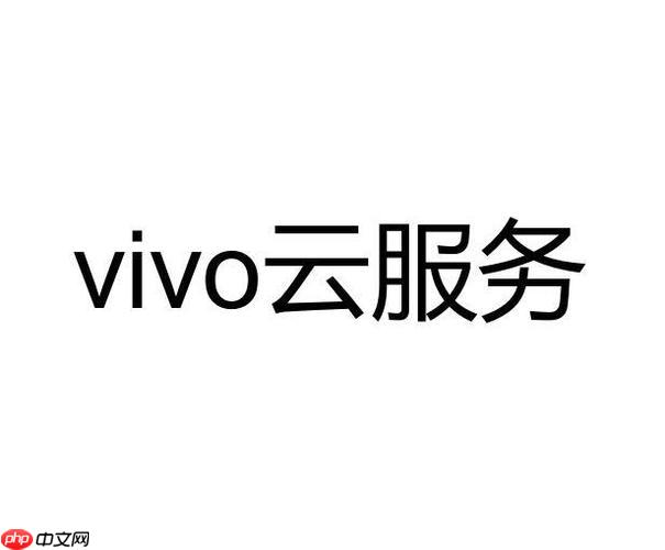 vivo云服务免费容量有多大 vivo云服务的免费空间是多大  第1张
