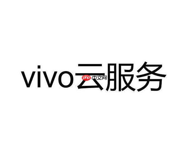 vivo云服务显示网络异常怎么办 怎么办vivo云服务提示网络异常  第1张