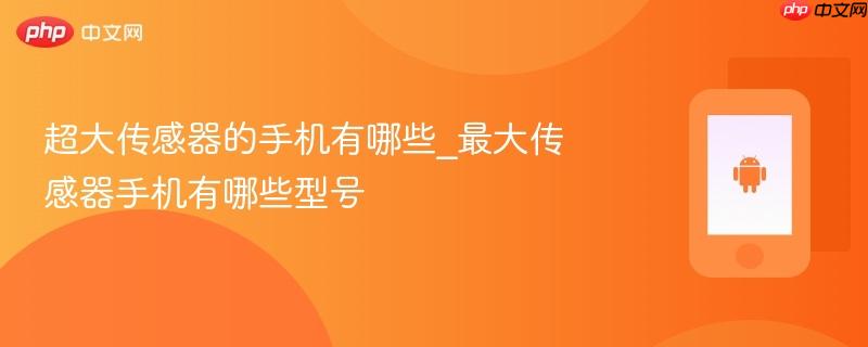 超大传感器的手机有哪些_最大传感器手机有哪些型号  第1张