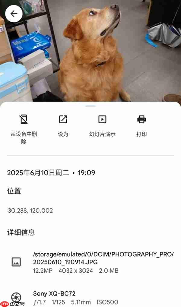 你可能根本不知道 自己适不适合影像旗舰  第3张