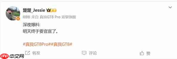 外观设计颠覆行业！真我GT8 Pro明天官宣  第2张