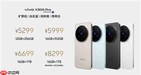 影像最强旗舰！vivo X300 Pro发布：5299元起  第1张