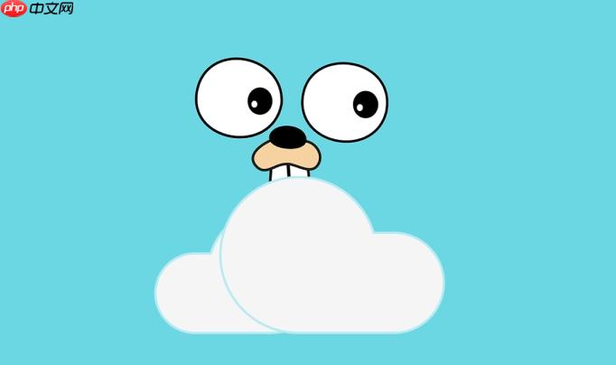 Golang反射如何判断类型_Go语言类型判断实战  第1张