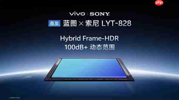 vivo X300系列首发索尼LYT-828：挑战专业视频能力  第1张