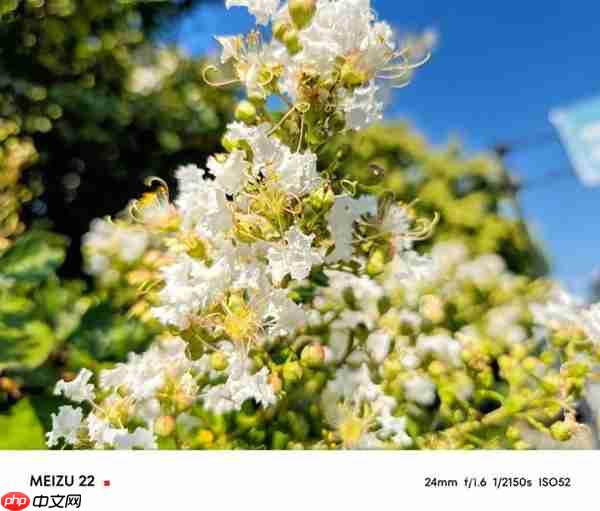 魅族22上手：3000元档小屏手机的最优解 找不到短板  第11张