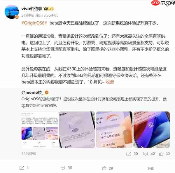 vivo X300系列首发！OriginOS 6官宣10月10日发布  第2张