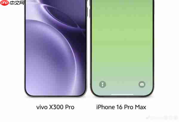 vivo X300 Pro与iPhone 16 Pro Max对比图出炉：6.78英寸超窄边直屏  第1张