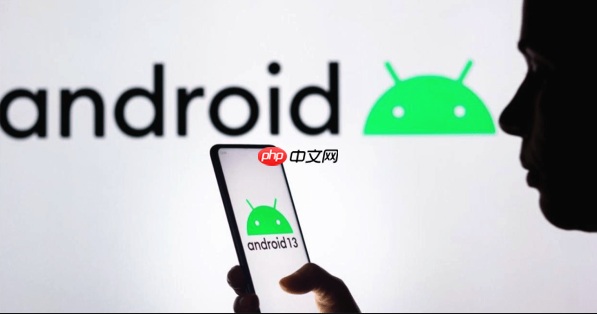 vivo手机便捷支付系统设置_vivo手机扫码支付的流畅体验  第1张