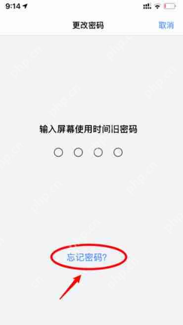 苹果屏幕使用时间密码忘了怎么办  第5张
