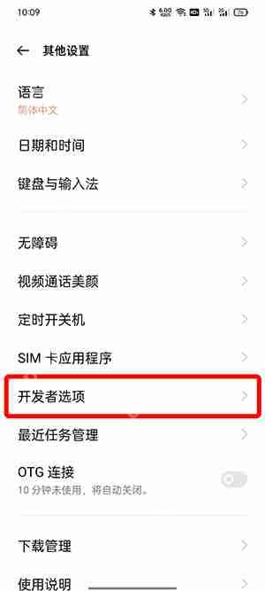 开发者选项在哪里打开  第4张