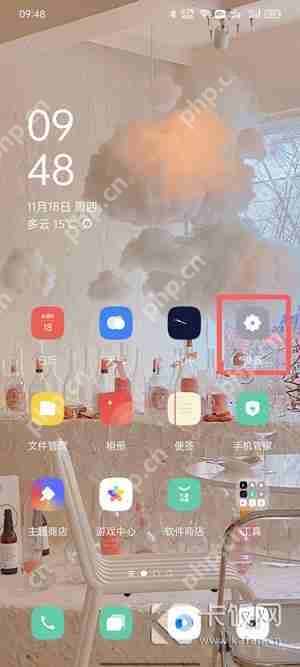 oppo手机安装权限设置在哪里  第1张