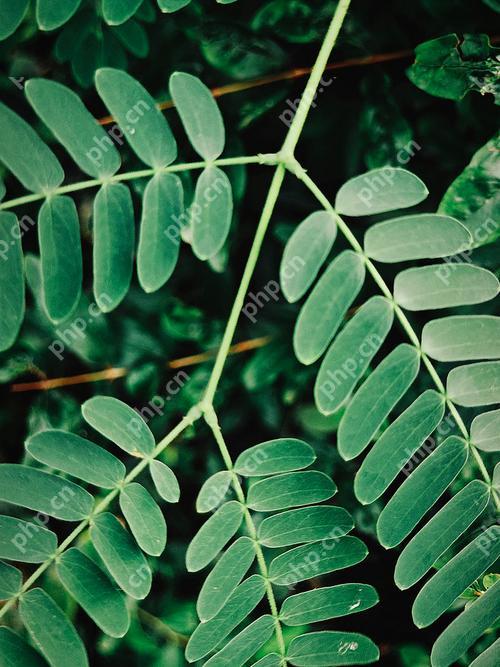 荣耀100电池循环次数查询方法  第1张