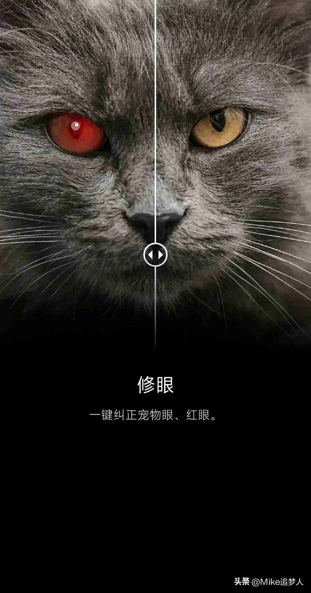 图像编辑软件手机版（好用的照片编辑app是哪个）  第8张