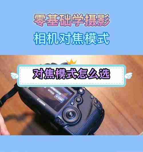 如何将照片从Canon相机传输到手机（一步步教你实现高效快捷的照片传输）