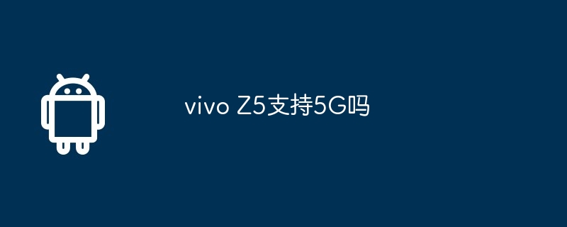 vivo Z5支持5G吗  第1张