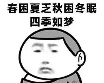 失眠的原因及对策（探索又困睡不着的背后原因与解决方法）  第3张