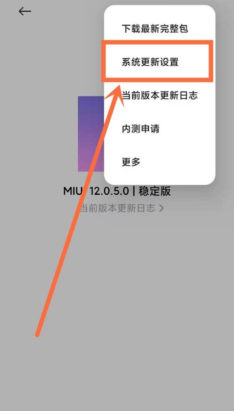怎么关闭红米note10自动升级系统_红米note10关闭自动升级系统步骤  第4张