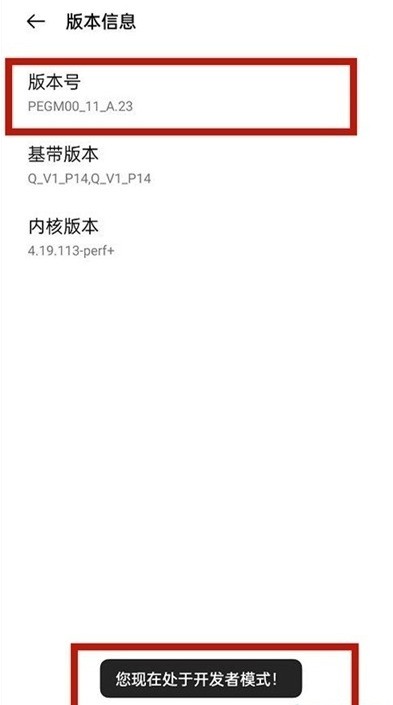 一加9r怎么开启开发者选项_一加9r开启开发者选项方法  第3张