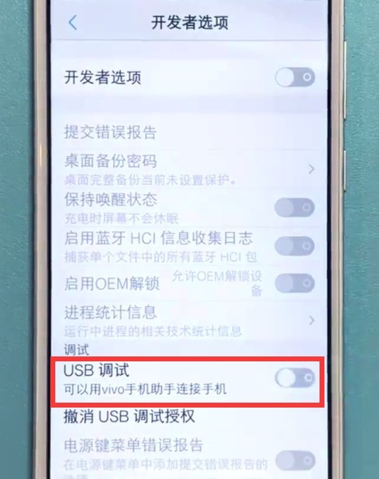 vivo手机中打开usb调试的方法介绍  第4张