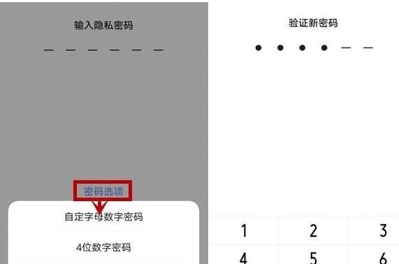 vivo NEX 3s加密应用的操作流程  第2张