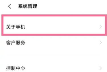 iqooz9怎么打开开发者模式？  第3张