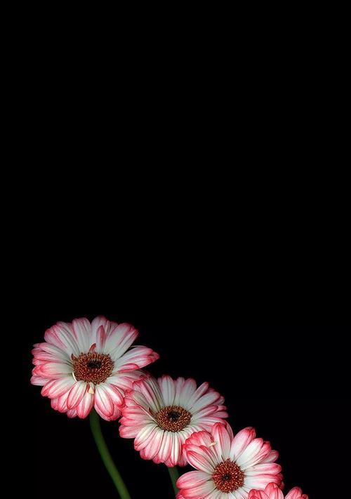 微信黑色主题（个性化设置让你的微信与众不同）  第2张