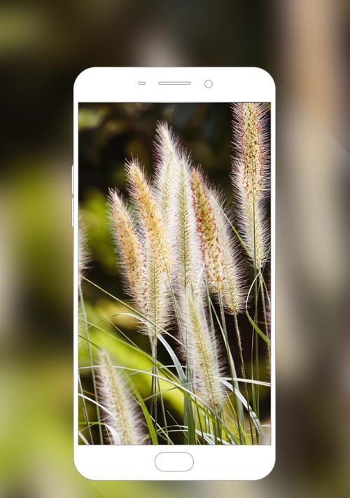 探索oppo壁纸的无限魅力（发现oppo壁纸世界的精彩多样性）  第3张
