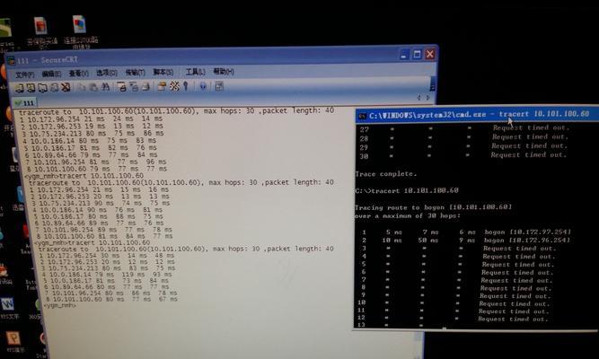 手机在线ping测试方法（提高网络连接速度的关键）  第2张